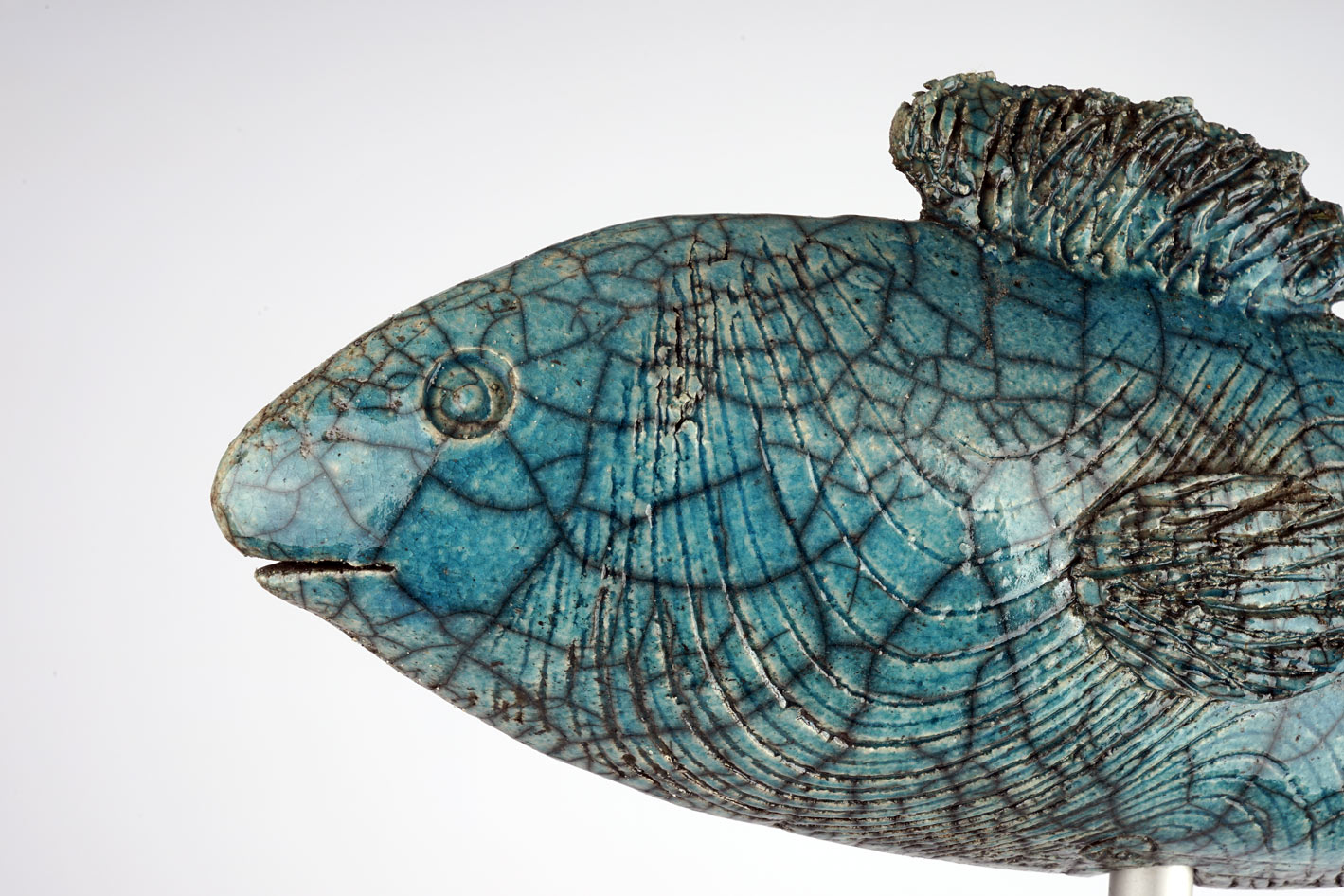 Fisch (klein) – Bild 2