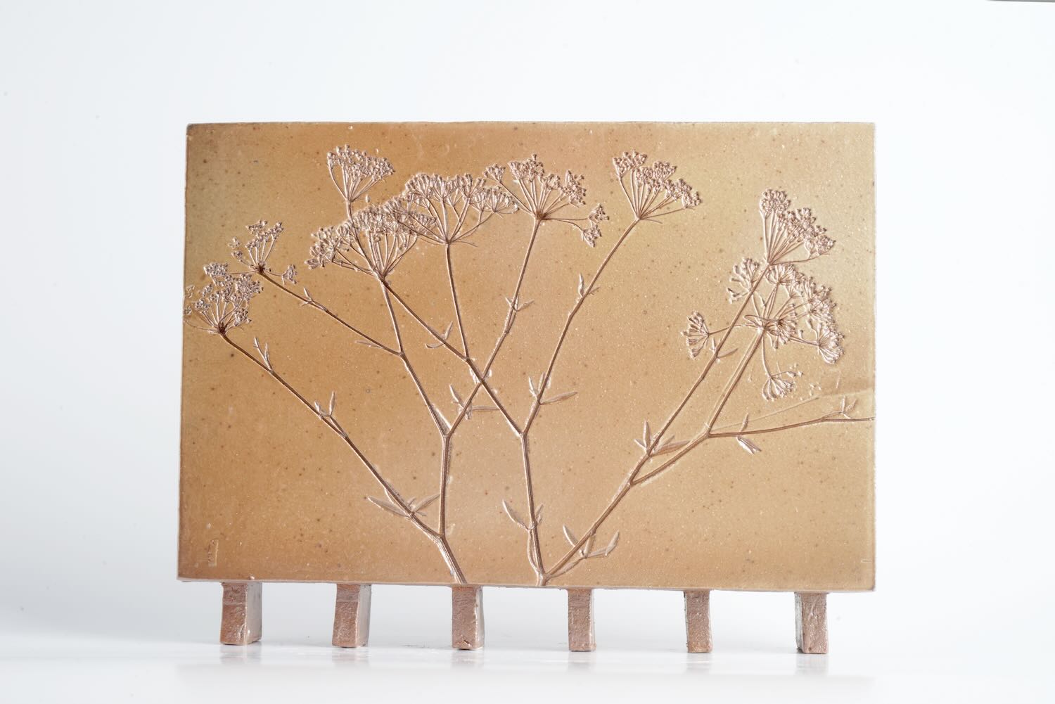 Brick-X Vase (Sichelmöhre) – Bild 3